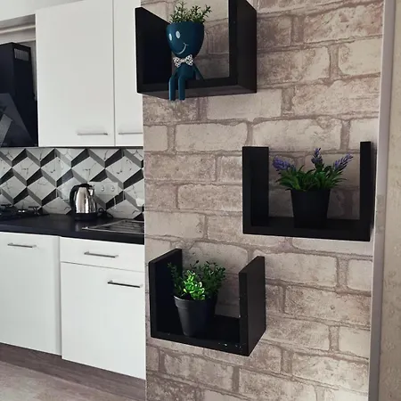 Апартаменты Burebista 114 Botanica Center Apartament *